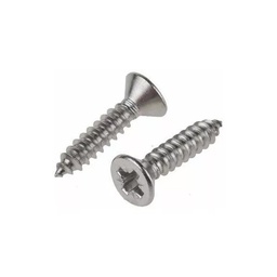 [TORAUTO6X5/8] TORNILLO AUTORROSCANTE 6X5/8